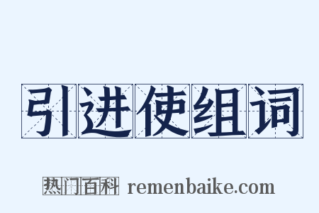 引进使组词是什么意思的图片